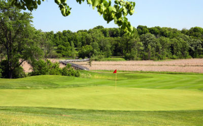 Wild Marsh Golf Club – Buffalo Wild Swings