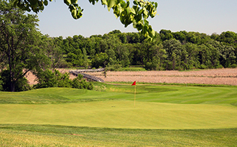 Birdies And Beauty At Wild Marsh Golf Club