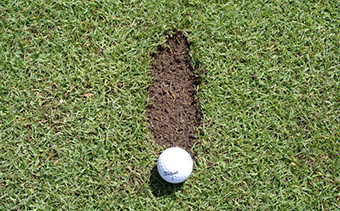 Divots Can Tell You Everything