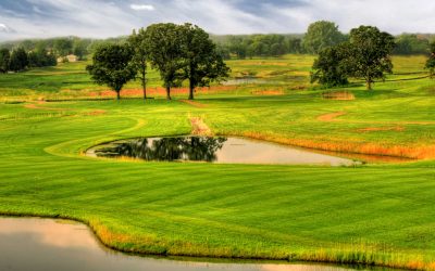 Wedgewood Cove – Southern Comforts North Of Iowa