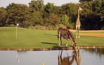 The Worlds Wildest Golf Course