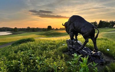 Wild Marsh – The Buffalo Club