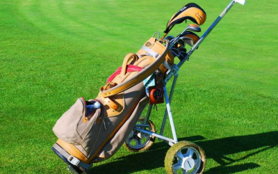 LeRoy, The Special Needs Caddie