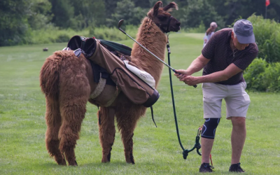 Llama Caddies