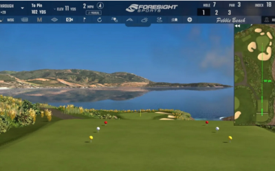 Simulator Golf Of The Future