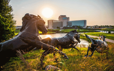 The Meadows At Mystic Lake Golf Course – Are You Ready?
