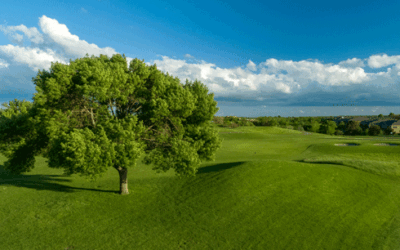 Where Prairie Winds And Pure Golf Meet: A Weekend Worth The Drive To Otter Creek