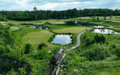 Gold, Greens, And A Little Bit Of Magic At The Gravel Pit